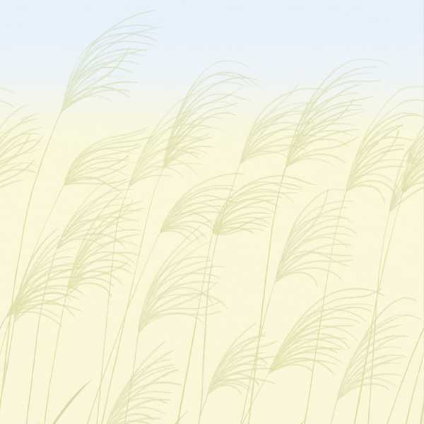 Miscanthus Buttermilk/Sky Wallpaper by Harlequin