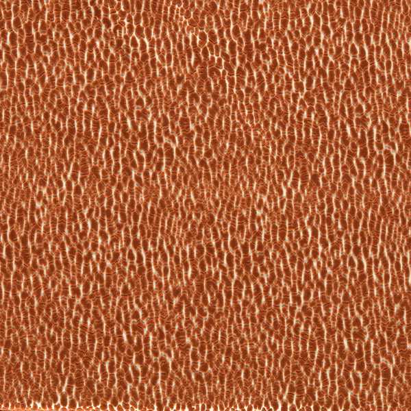 Lacuna Tiger Fabric by Harlequin