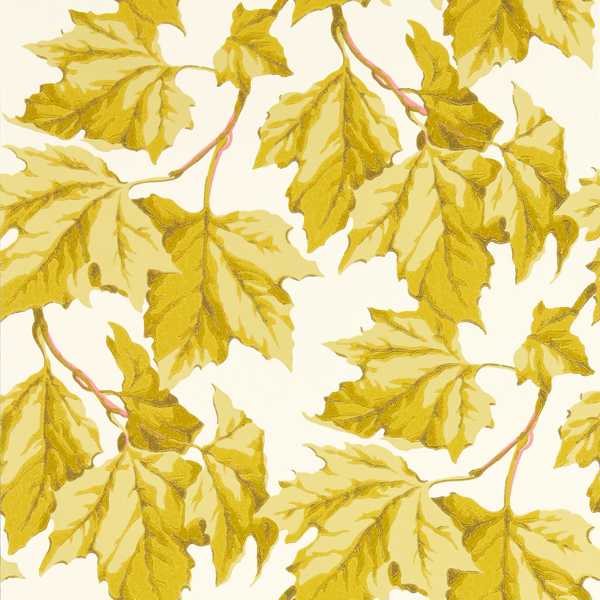 Dappled Leaf Citrine Wallpaper by Harlequin