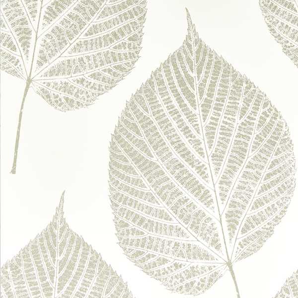 Leaf Chalk/Silver Wallpaper by Harlequin