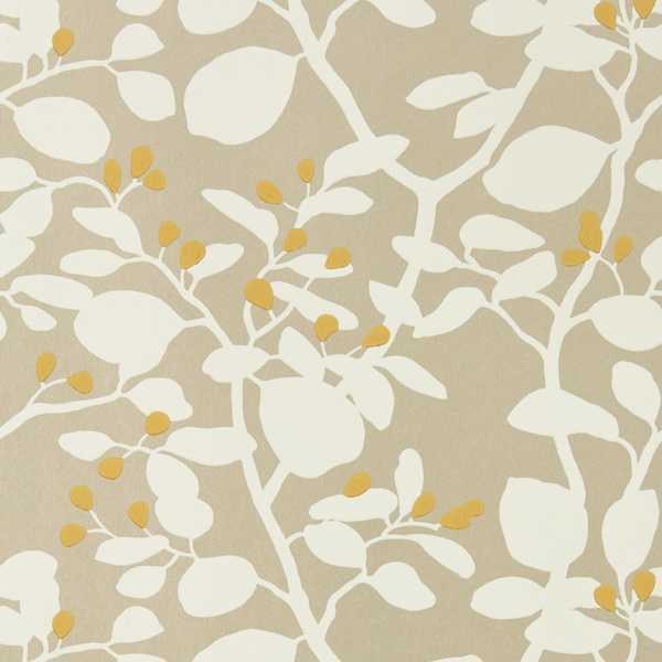 Ardisia Soft Focus/Oyster/Gold Wallpaper by Harlequin