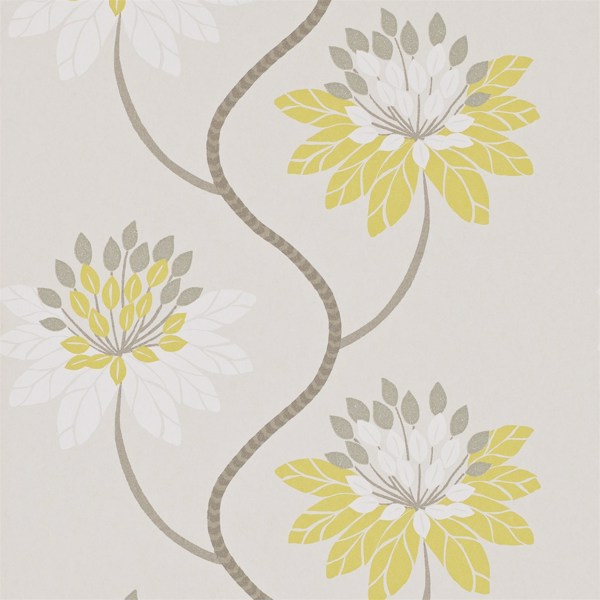 Eloise Chartreuse/Warm Grey Wallpaper by Harlequin