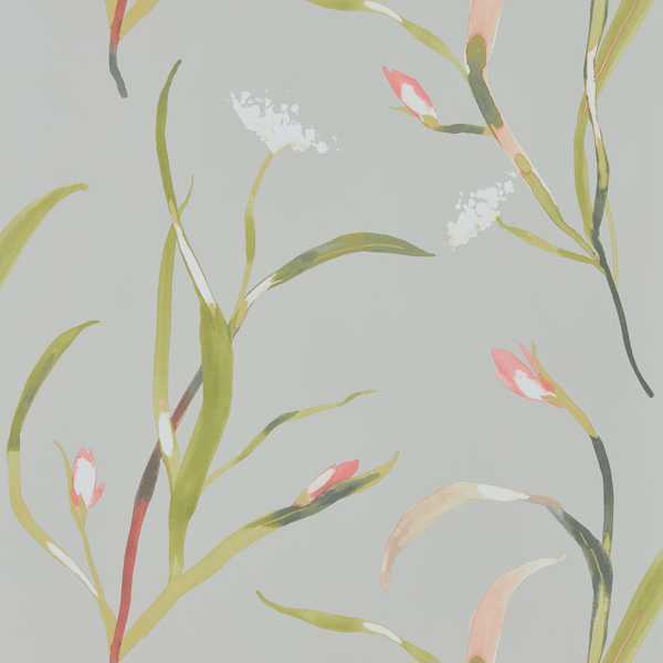 Saona Coral/Silver Wallpaper by Harlequin