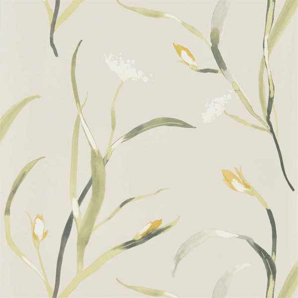 Saona Ochre/Linen Wallpaper by Harlequin