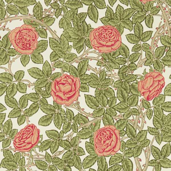 Rambling Rose Twining Vine Wallpaper by Morris & Co