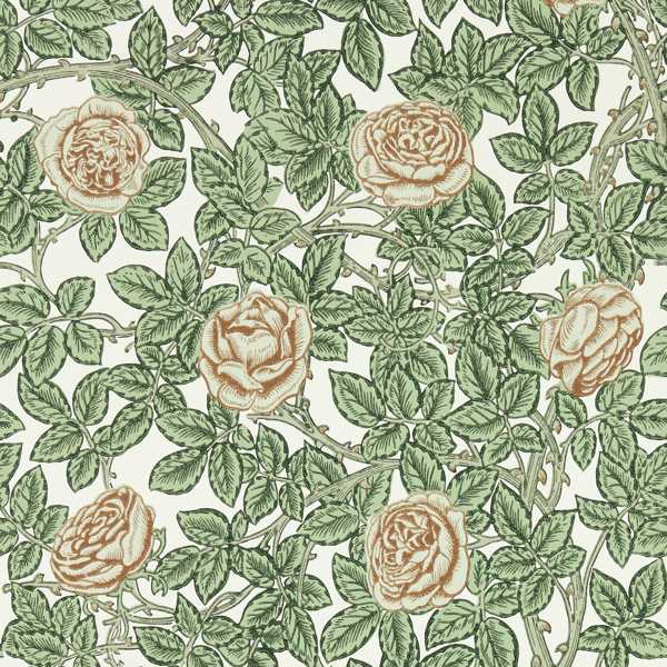 Rambling Rose Leafy Arbour/Pearwood Wallpaper by Morris & Co