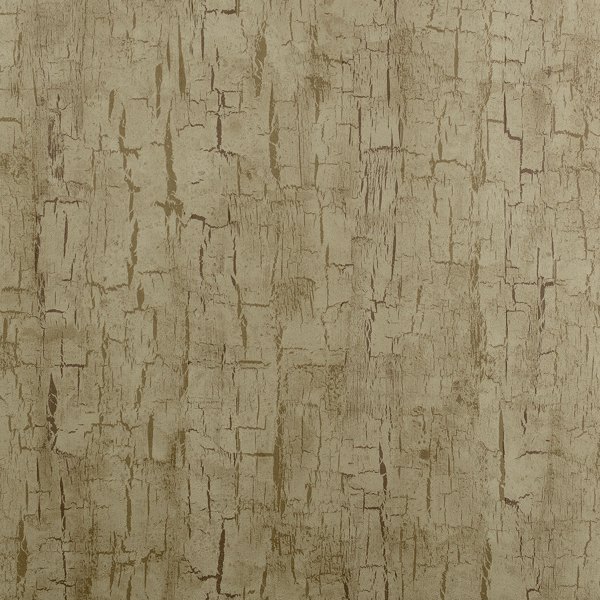 Tree Bark Antique Wallpaper by Clarke & Clarke