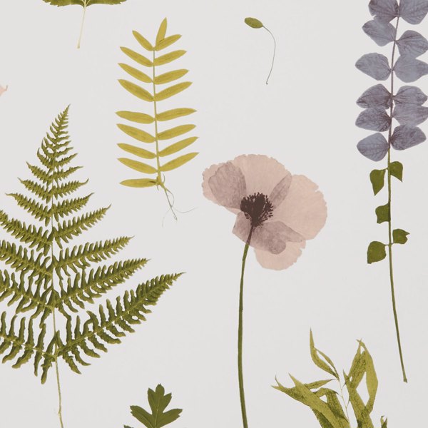 Herbarium Blush Wallpaper by Clarke & Clarke