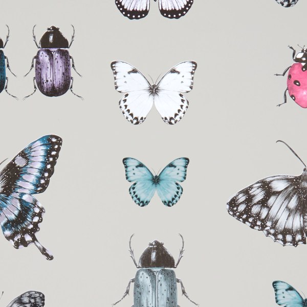 Papilio Teal/Gilver Wallpaper by Clarke & Clarke
