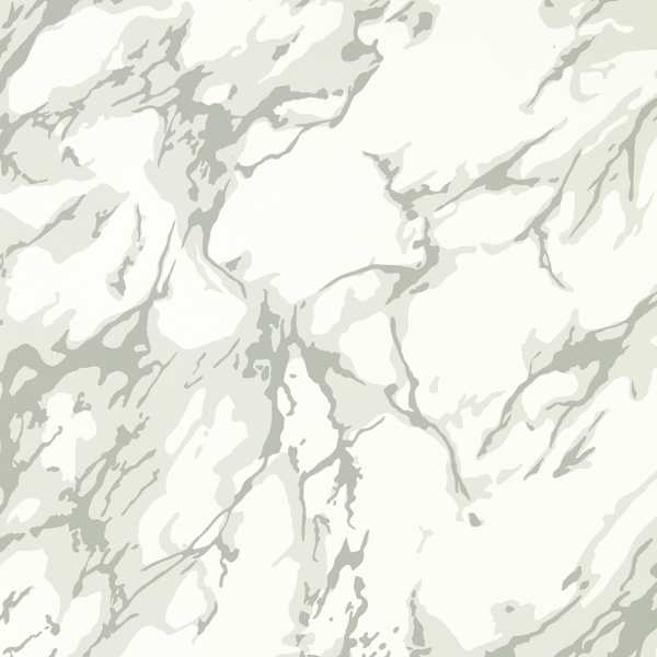 French Marble Empire Grey / Perfect White Wallpaper by Zoffany