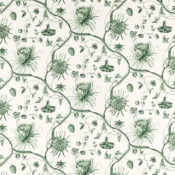 Phaedra Toile Huntsmans Green Fabric by Zoffany