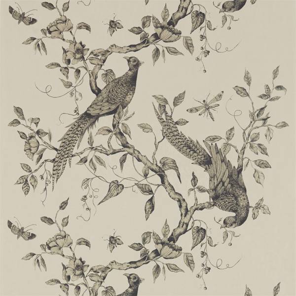 Darnley Dove Wallpaper by Zoffany