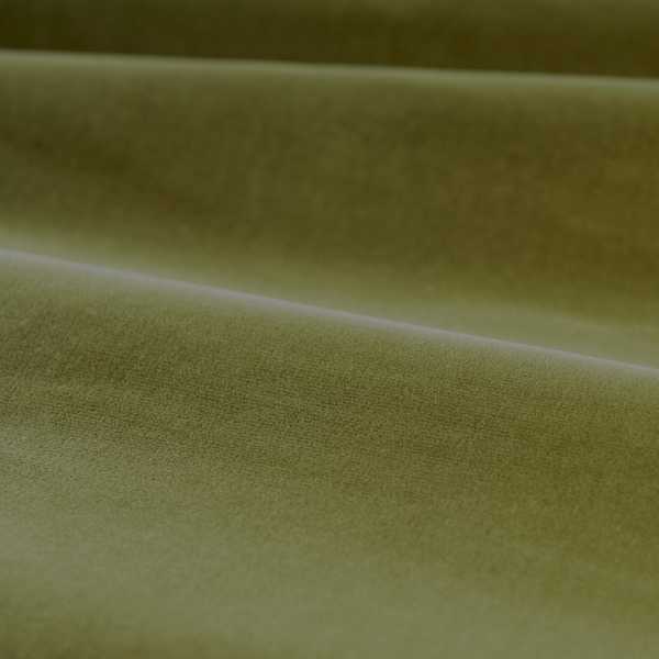 Cotton Velvet Performance Olive Fabric by Zoffany